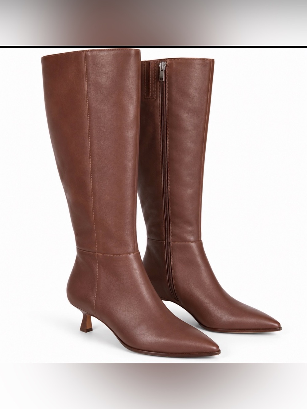 Dolce Vita Brown Pointed Toe Knee High Boots Size 9.5 NWT